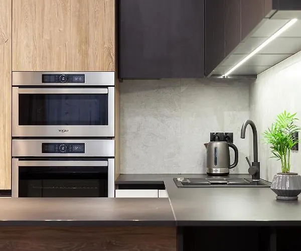 Royal Vip On Leontovicha 5 * Lviv